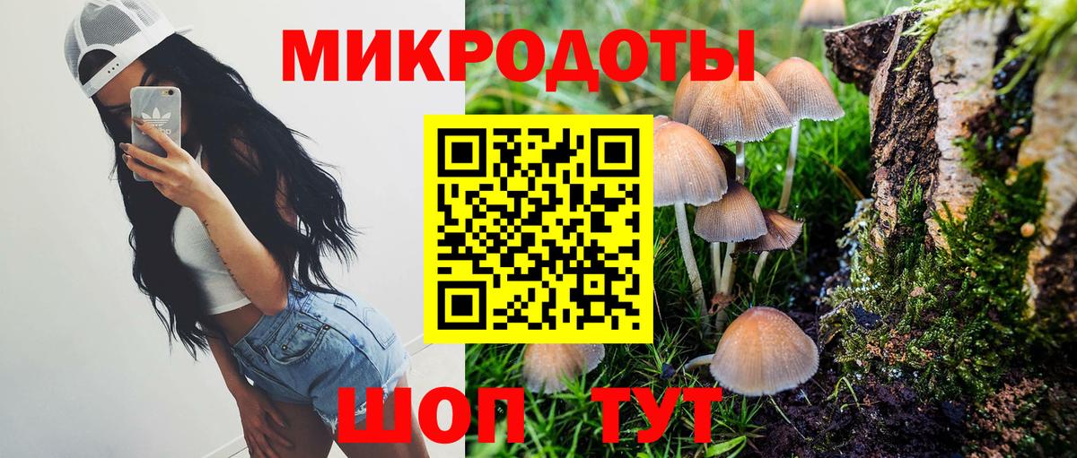 Псилоцибиновые грибы MAGIC MUSHROOMS  Вход с VPN  Челябинск 